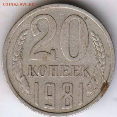 24 г. в 23.00 - 022