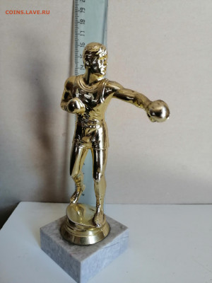 Статуэтка боксерская перчатка и вымпел.Редкость - IMG_20240625_110915