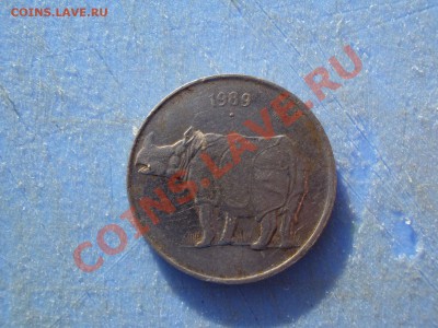 две монеты одна с носорогом - DSC05696.JPG