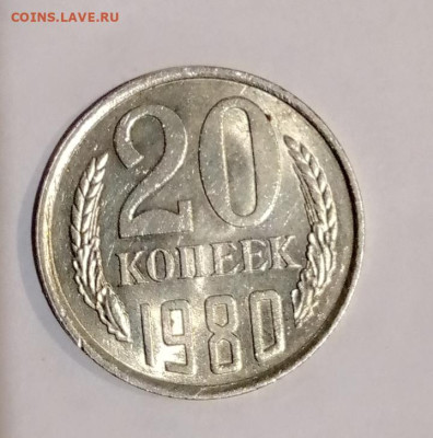 Совершенно отличается от других по цвету.. попробую завтра на солнце - Screenshot_20240625-233709