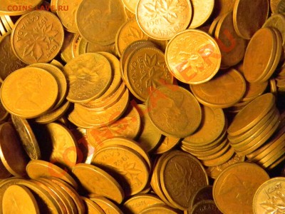 предлагаю  500 монет США и Канады - DSCN3278.JPG