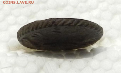 Полушка 1735г до 30.06. в 22.00 - DSCN0709.JPG