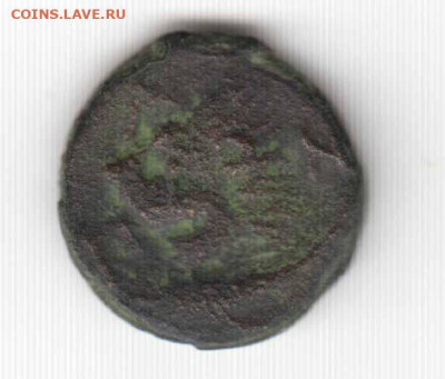 Пант. Тетрахалк 300-275 г.г. до н.э. до 01.07.2024 г. 22-00 - ЛевОсетр-02