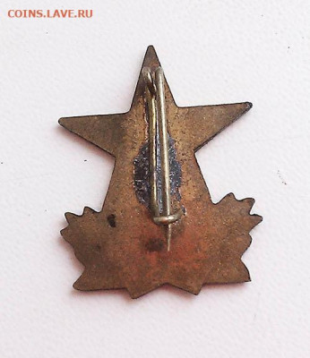 15 лет пионерии Венгрия - знак_Венгрия_пионерия-15лет_булавка