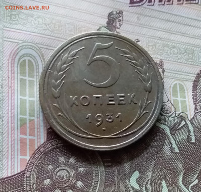 5 копеек 1931. До 05.07.24 в 22.00 - 20240701_145613