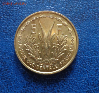 Французская Западная Африка 5 франков 1956 до 3.07 - DSC01554.JPG