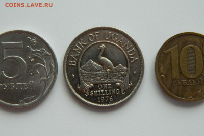 Уганда 1 шиллинг 1976 г. (Фауна) до 08.07.24 - DSCN0475.JPG
