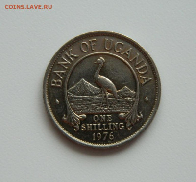 Уганда 1 шиллинг 1976 г. (Фауна) до 08.07.24 - DSCN0476.JPG