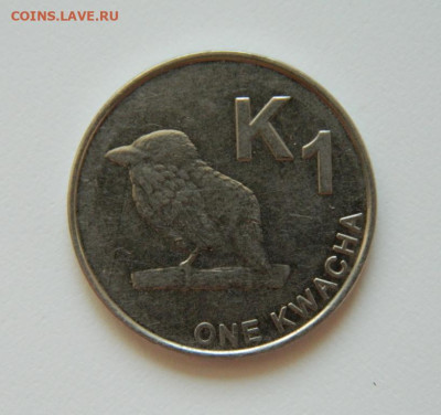Замбия 1 квача 2015 г. (Фауна) до 08.07.24 - DSCN8940.JPG