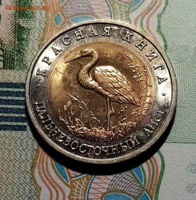 К.К  50 руб 1993 г Дальневосточный Аист с 200 до 5.07 - аи1