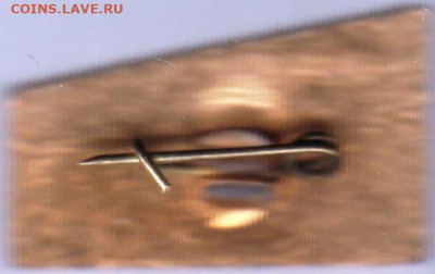 24 г. в 23.00 - 088