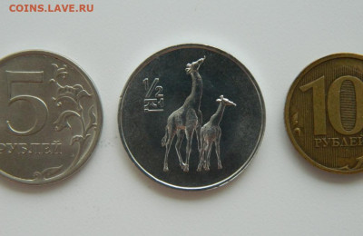 2 чон 2002 г. (Юбилейная) Жираф до 11.07.24 - DSCN8983.JPG