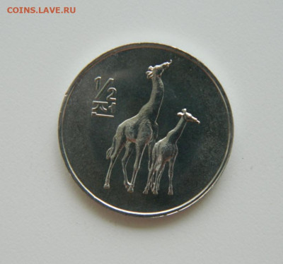2 чон 2002 г. (Юбилейная) Жираф до 11.07.24 - DSCN8984.JPG