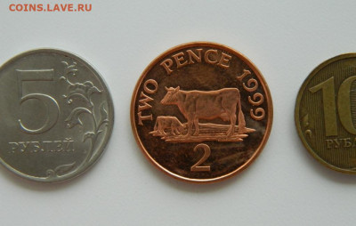 Гернси 2 пенса 1999 г. (Фауна) до 11.07.24 - DSCN8978.JPG