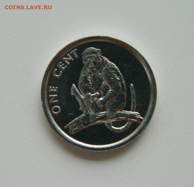 Острова Кука 1 цент 2003 г. (Обезьяна) до 11.07.24 - DSCN8997.JPG
