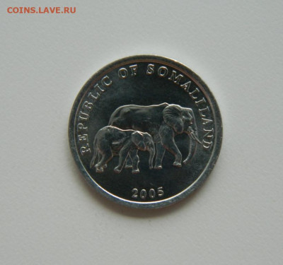 Сомалиленд 5 шиллингов 2005 г. (Фауна) до 11.07.24 - DSCN9024.JPG