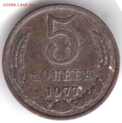 24 г. в 23.00 - 028