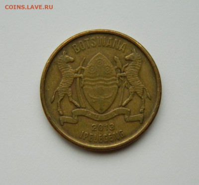 Ботсвана 1 пула 2013 г. (Фауна) до 11.07.24 - DSCN9061.JPG