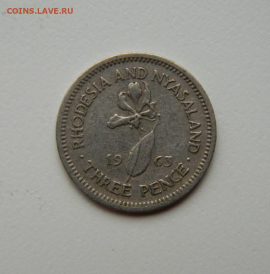 Британская Родезия и Ньясаленд 3 пенса 1963 г. до 12.07.24 - DSCN9128.JPG