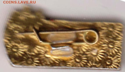 24 г. в 23.00 - 011