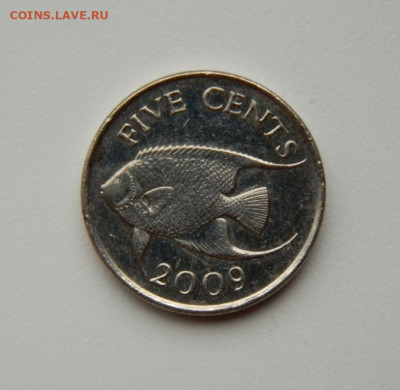 Бермудские острова 5 центов 2009 г. (Фауна)  до 12.07.24 - DSCN9196.JPG