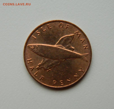 2 пенни 1976 г. (Фауна) до 12.07.24 - DSCN9186.JPG
