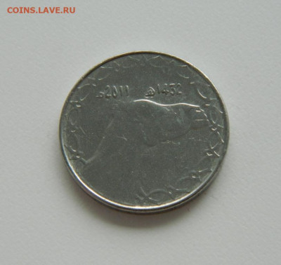 Алжир 2 динара 2011 г. (Фауна) до 13.07.24 - DSCN9004.JPG
