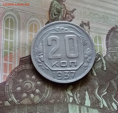 20 копеек 1937. До 11.07.24 в 22.00 - 20240707_154529
