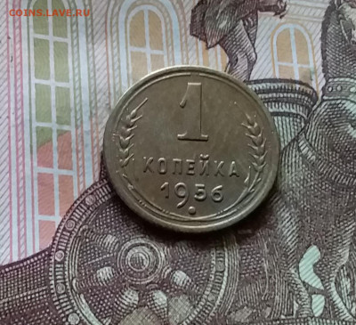 1 копейка 1956. До 11.07.24 в 22.00 - 20240707_182305