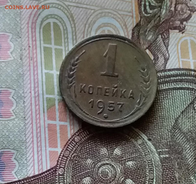 1 копейка 1957. До 11.07.24 в 22.00 - 20240707_182519