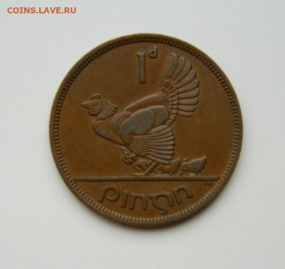 Ирландия 1 пенни 1946 г. (Фауна) Крупная! до 13.07.24 - DSCN9210.JPG