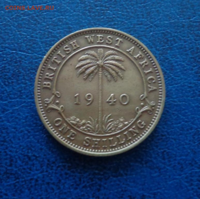 Британская Западная Африка 1 шиллинг 1940 до 10.07 - DSC01590.JPG