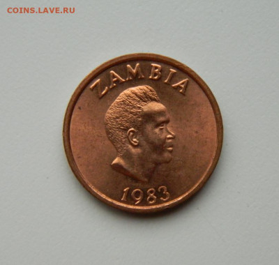 Замбия 2 нгве 1983 г. (Фауна) до 13.07.24 - DSCN9356.JPG