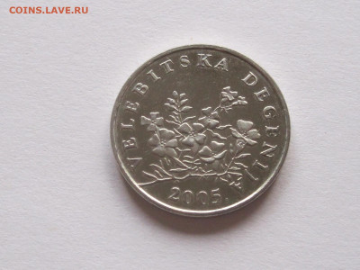 50 липа 2005 Хорватия дегения блеск флора 10.07 22:05 - IMG_8663.JPG