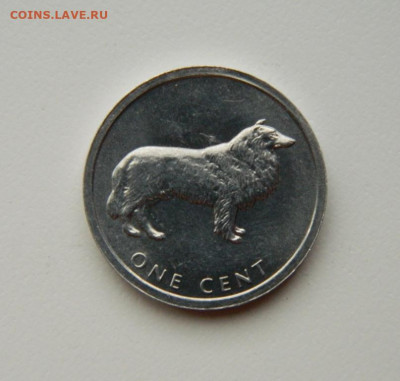 Острова Кука 1 цент 2003 г. (Собака-Колли) до 15.07.24 - DSCN9464.JPG
