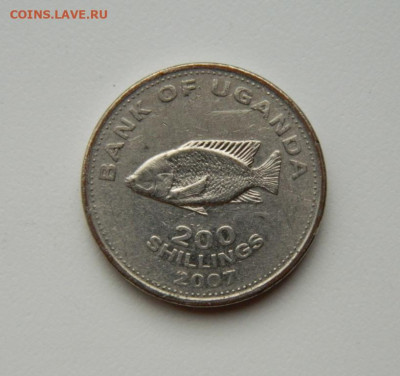 Уганда 200 шиллингов 2007 г. (Фауна) до 15.07.24 - DSCN9456.JPG