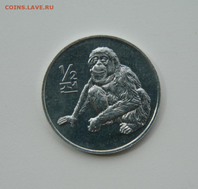 2 чон 2002 г. (Юбилейная) Обезьяна до 15.07 - DSCN9533.JPG