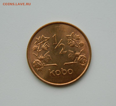 2 кобо 1973 г. до 16.07.24 - DSCN9526.JPG