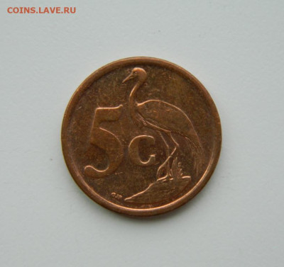 Южная Африка 5 центов 2009 г. (Фауна) до 16.07.24 - DSCN9477.JPG