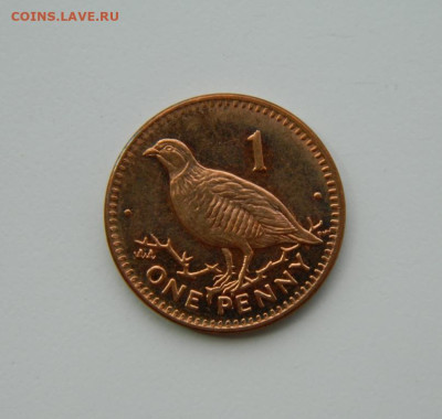 Гибралтар 1 пенни 2000 г. (Фауна) до 16.07.24 - DSCN9528.JPG