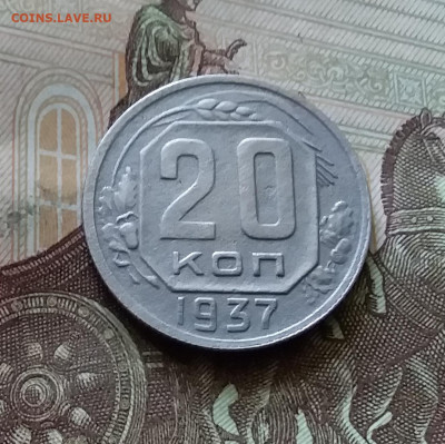 20 копеек 1937. До 18.07.24 в 22.00 - 20240713_151304