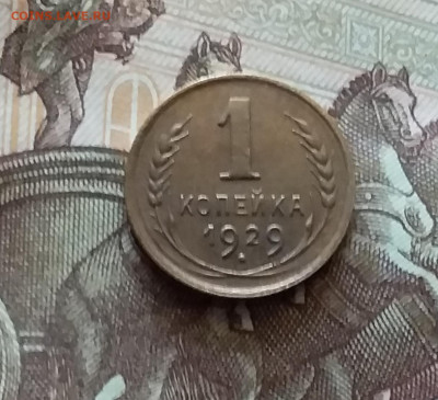 1 копейка 1929. До 18.07.24 в 22.00 - 20240713_193318