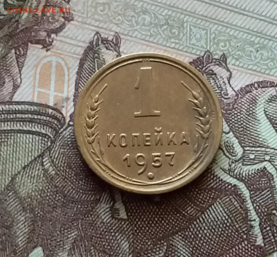 1 копейка 1957. До 18.07.24 в 22.00 - 20240713_202656