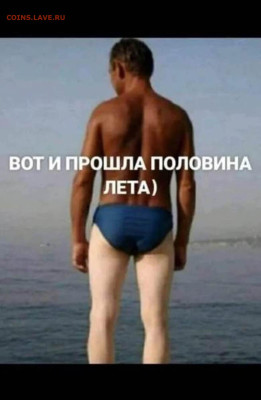Юмор - IMG-20240712-WA0000