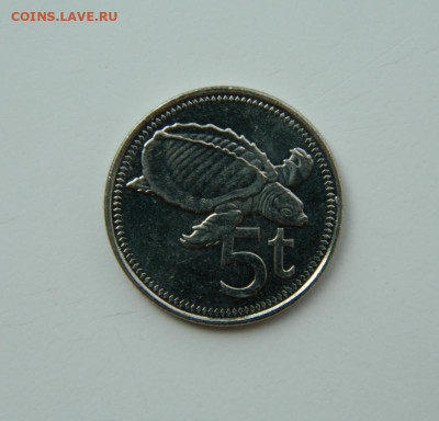 Папуа-Новая Гвинея 5 тойя 2009 г. (Фауна)  до 20.07.24 - DSCN9620.JPG