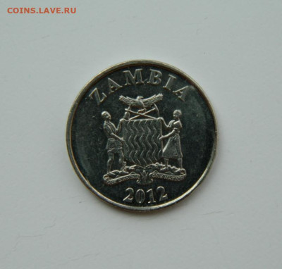 Замбия 5 нгве 2012 г. (Фауна) до 20.07.24 - DSCN9643.JPG
