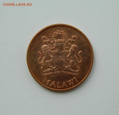 Малави 2 тамбала 2003 г. (Фауна) до 20.07.24 - DSCN9686.JPG