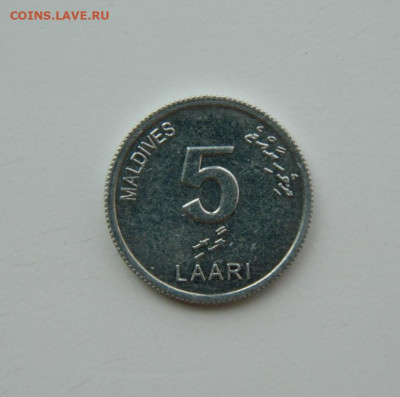 Мальдивские острова 5 лари 2012 г. (Фауна) до 20.07.24 - DSCN9648.JPG