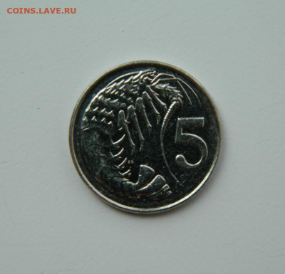 Каймановы острова 5 центов 2008 г. (Фауна) до 20.07.24 - DSCN9626.JPG