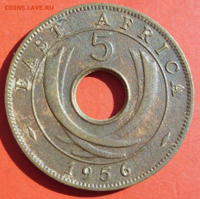 5 центов Восточная Африка 1956. - SDC16117.JPG